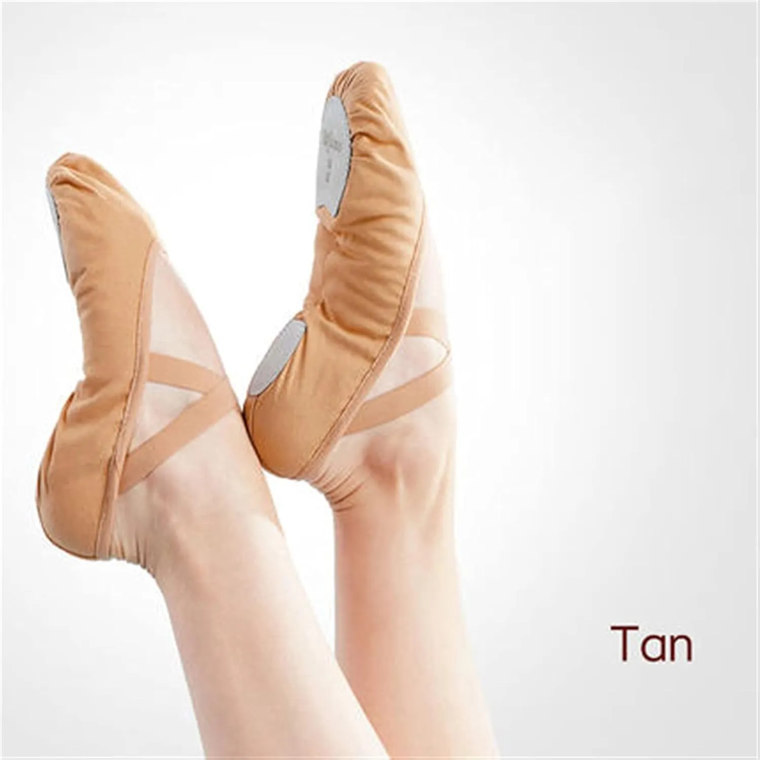 Ballet Shoes 2 Pairs Women Ballet Training Shoes Dance Adult Children Body Ballet Shoes Soft Sole Professional Canvas Dance Shoes for Ballet Dance Slippers for Girls ToddTan-40 EU